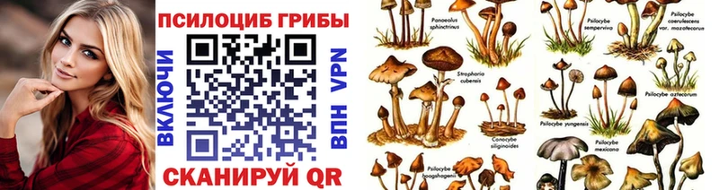 Галлюциногенные грибы Magic Shrooms хочу наркоту Полтавская